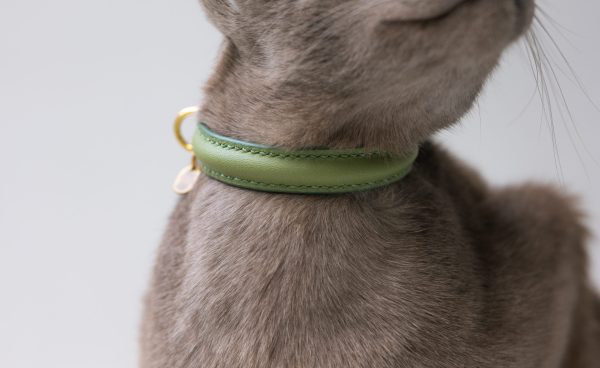 Cat Collar Matcha Green