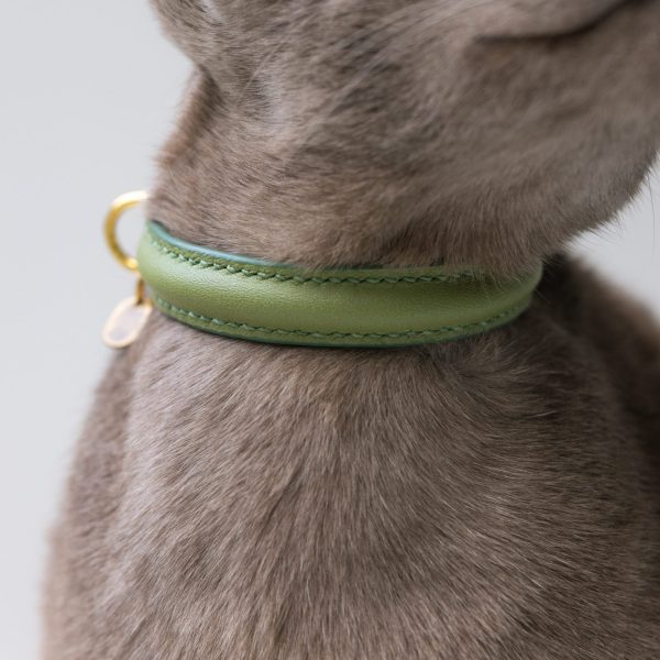 Cat Collar Matcha Green