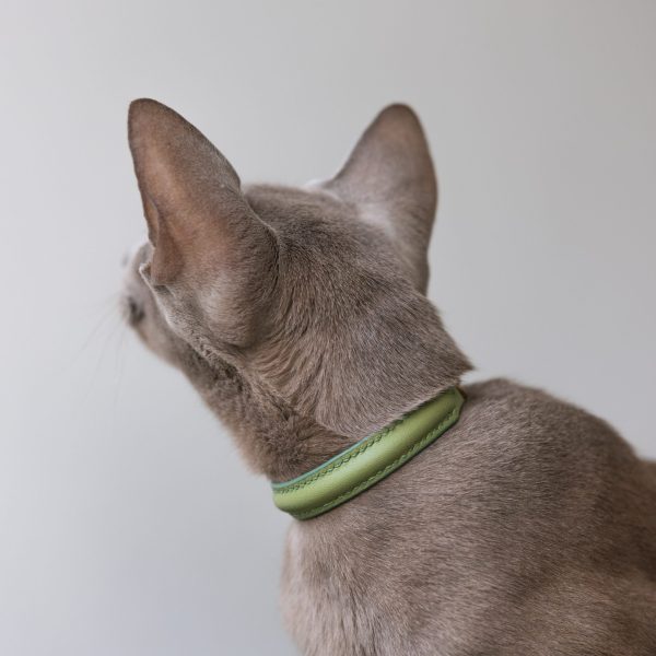 Cat Collar Matcha Green