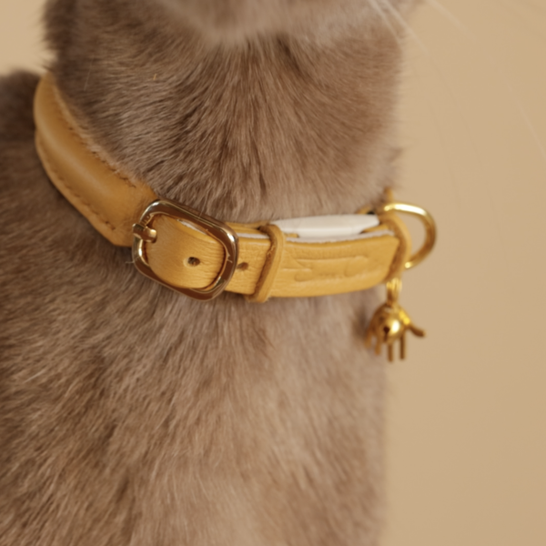 Cat Collar - Yellow