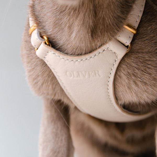 The Cat Harness - Cream
