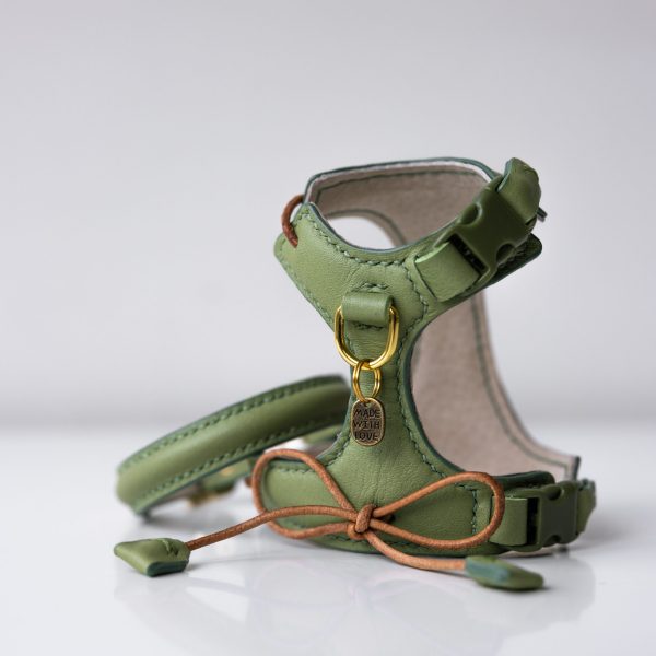 Kitten Harness & Collar Matcha Green