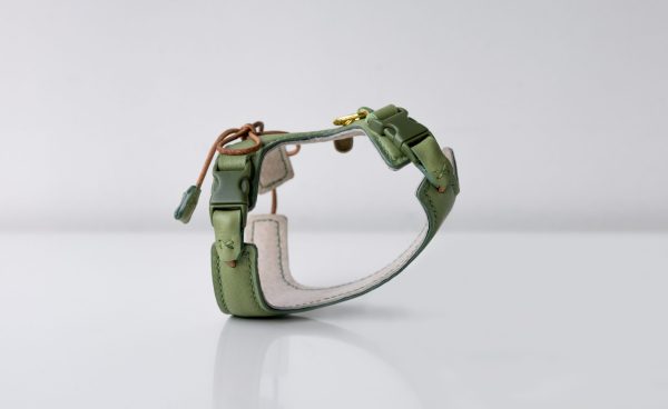 Kitten Harness Matcha Green