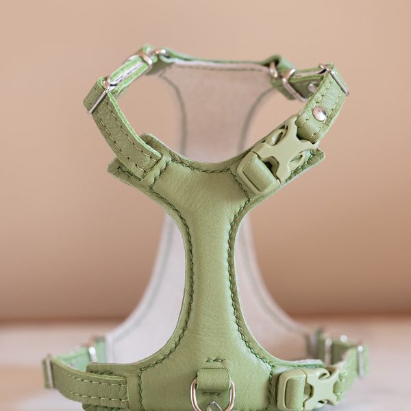 Cat Harness - Matcha