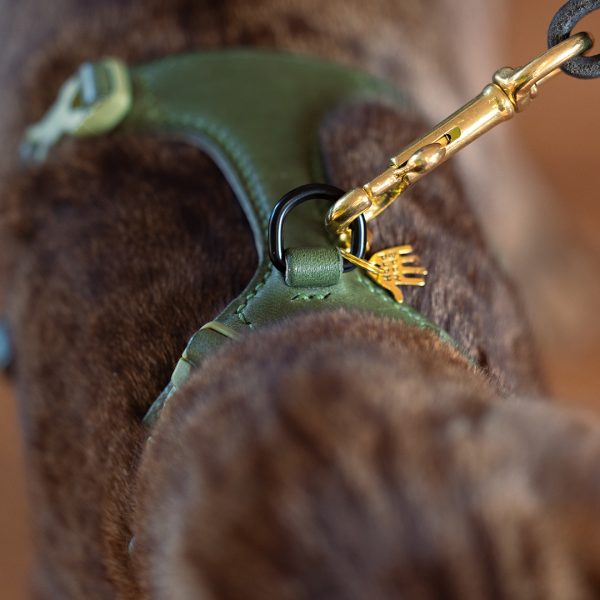 Cat harness & Leash - Premium Dark Green