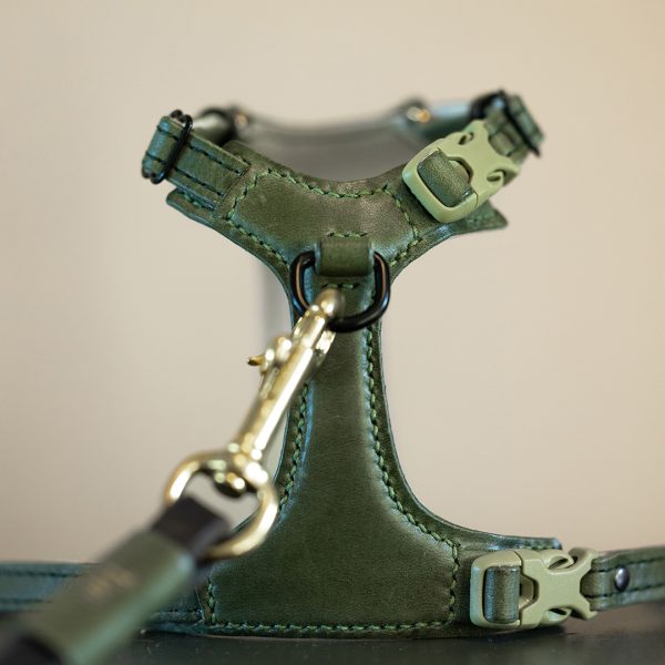 Cat harness & Leash - Premium Dark Green