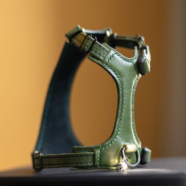 Cat harness - Premium Dark Green