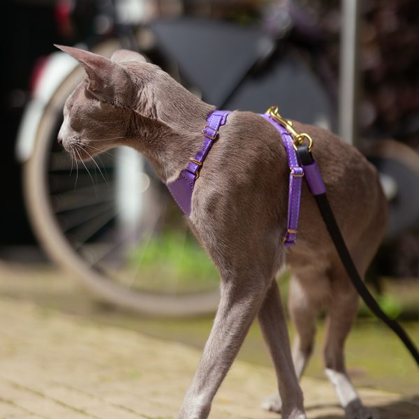 The Cat Harness - Premium Purple