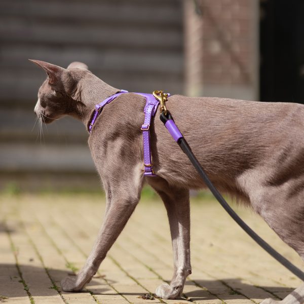The Cat Harness - Premium Purple