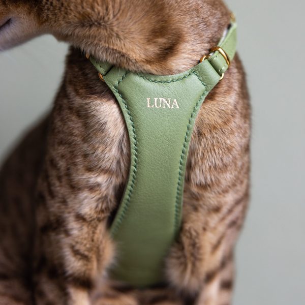 Cat Harness - Matcha Green