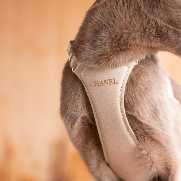 Customize your Cat Harness - Image 30