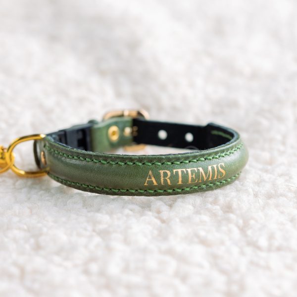 Premium Dark Green with Gold Foil Embossment