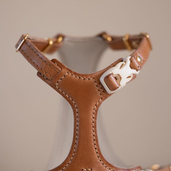 Premium Cat Harness - Brown