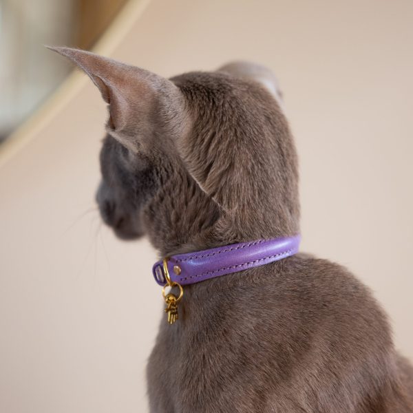 Premium Cat Collar - Purple