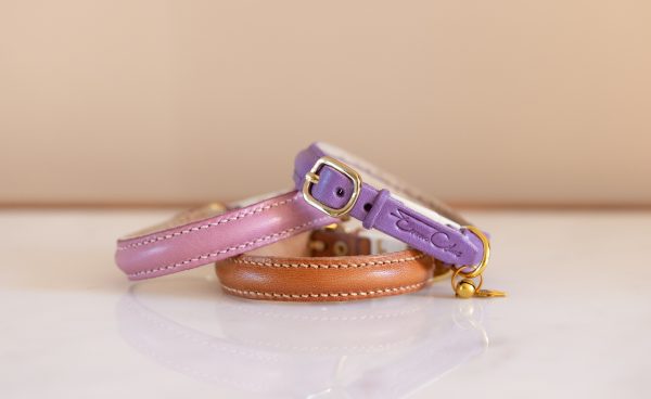 Premium cat Collar - Brown, Mauve & Purple