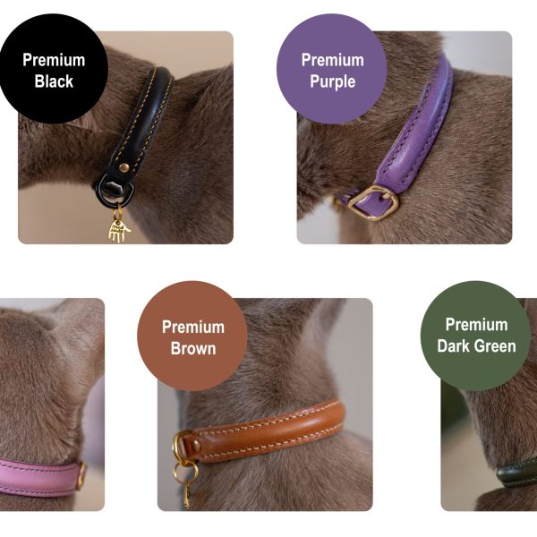 The Kitten Harness - Image 22