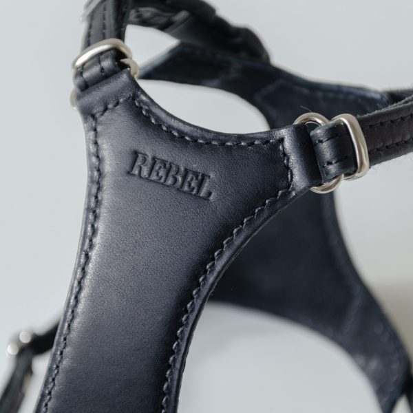 The Premium Cat Harness - Black with embossing