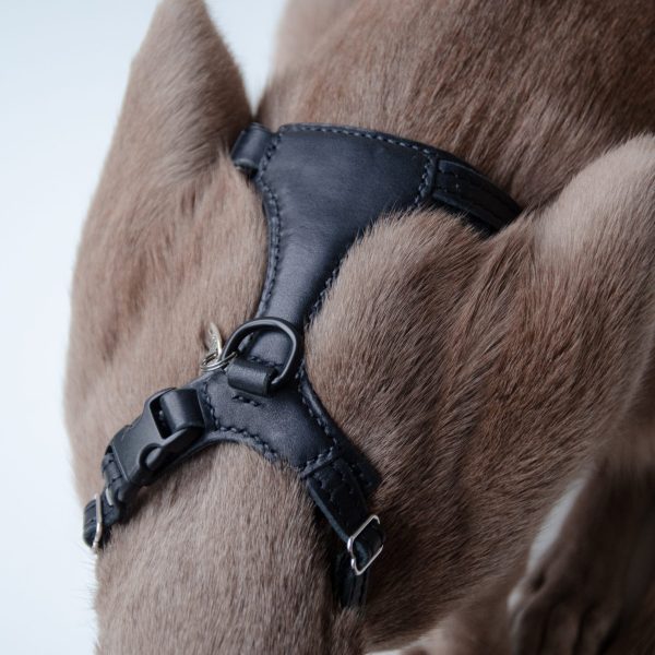 The Premium Cat Harness - Black