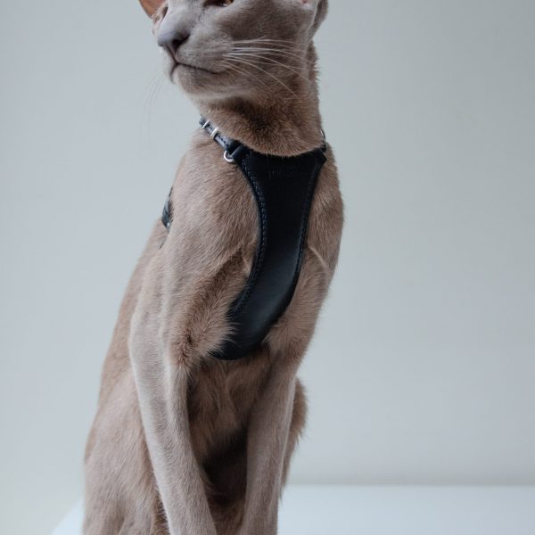 The Premium Cat Harness - Black