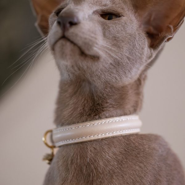 Cat Collar - Cream