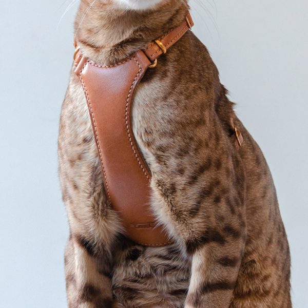 The Premium Cat Harness - Brown