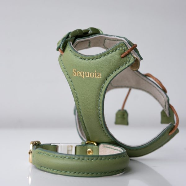 Kitten Harness & Collar Matcha Green