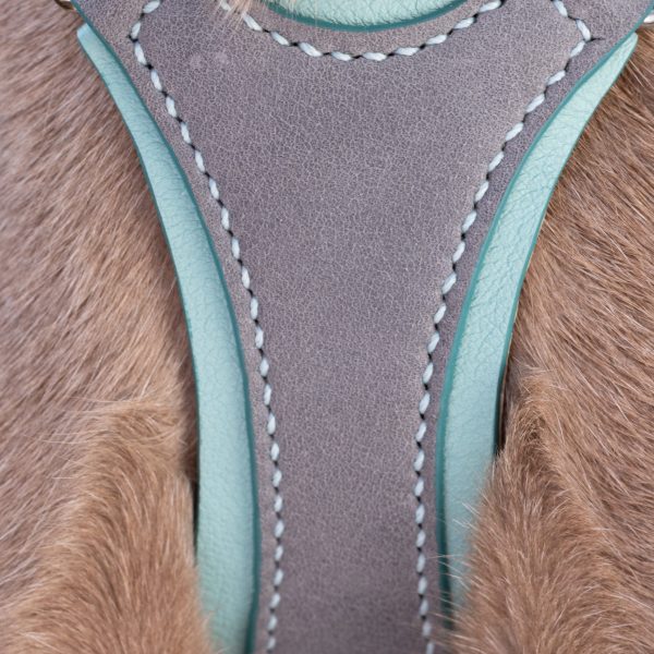 Baby Blue & Ash Cat Harness