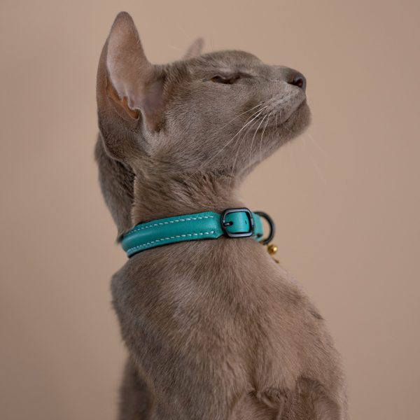 Cat Collar - Turquoise