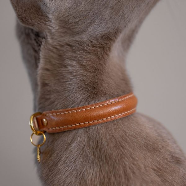 Premium cat Collar - Brown