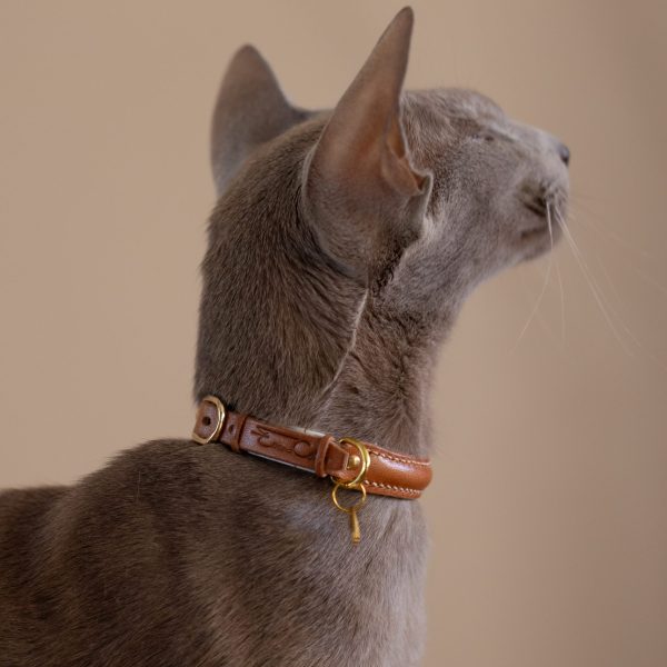 Premium cat Collar - Brown