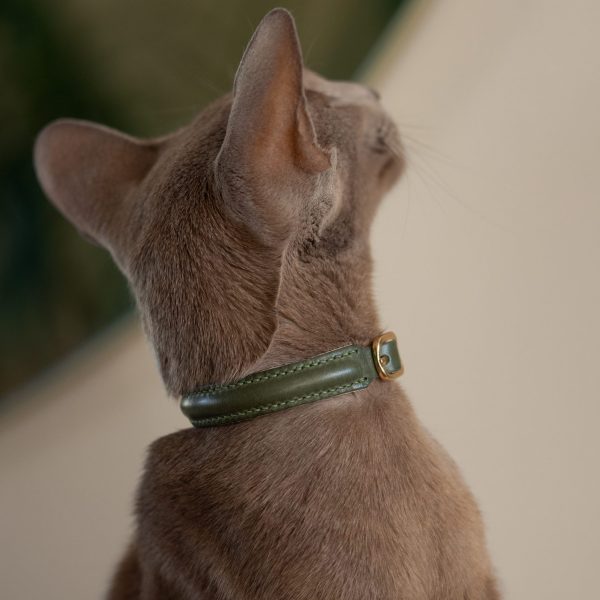 Premium cat Collar - Dark Green