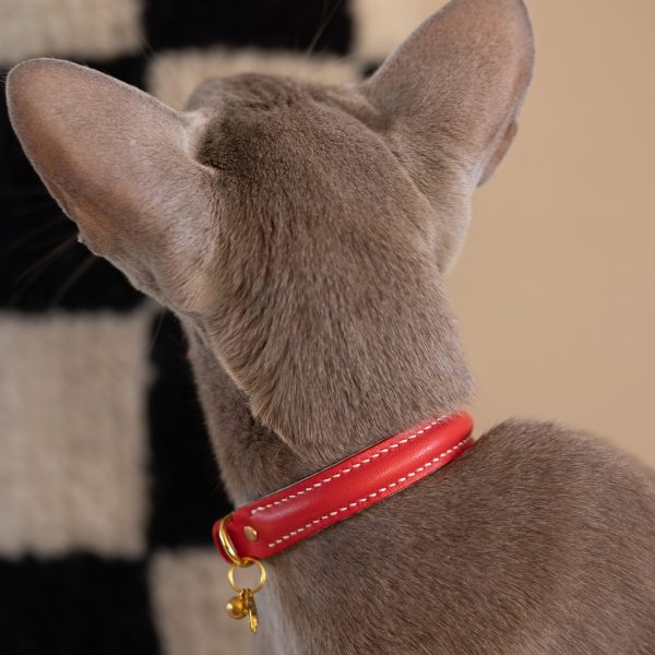 Cat Collar - Red