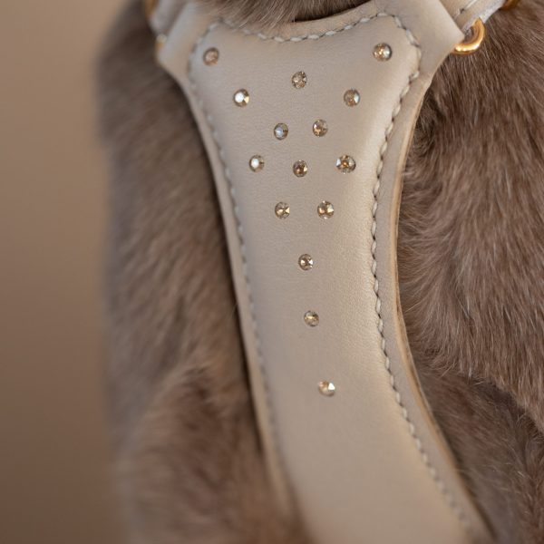The Cat Harness - A touch of Sparkle - Image 5