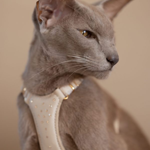 The Cat Harness - A touch of Sparkle - Image 3