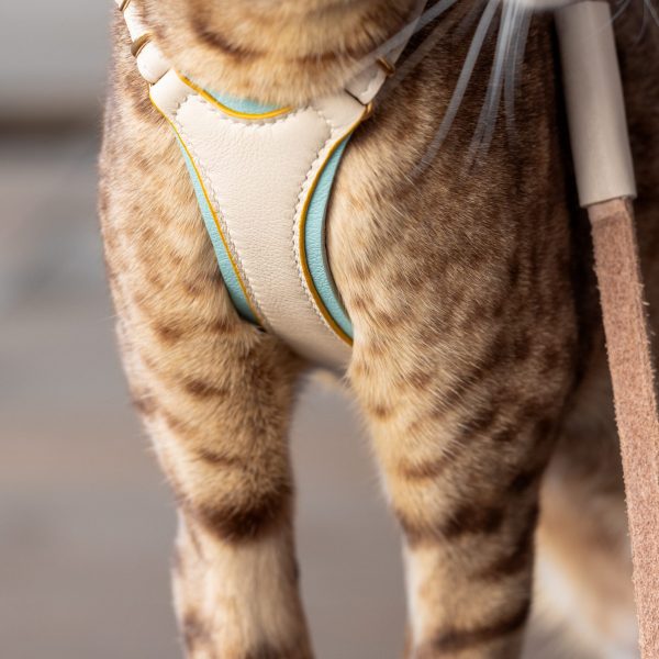 Triple coloured Harness