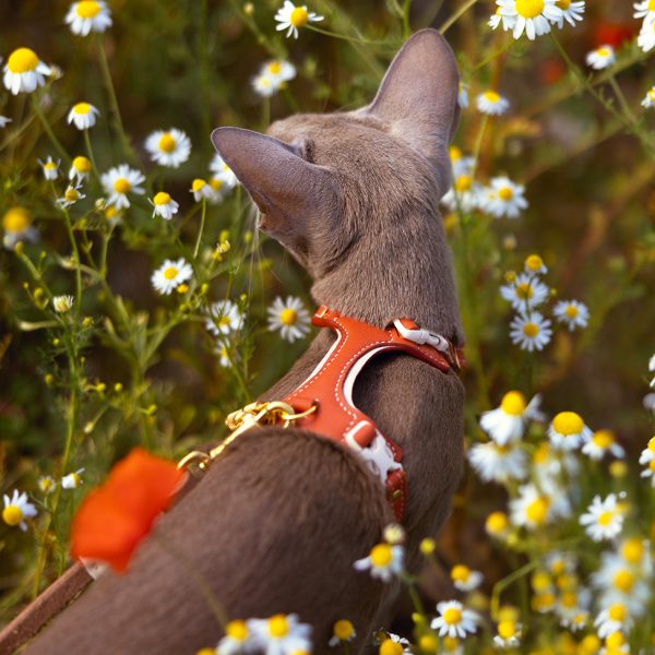 Cat Harness - Cream & Brick