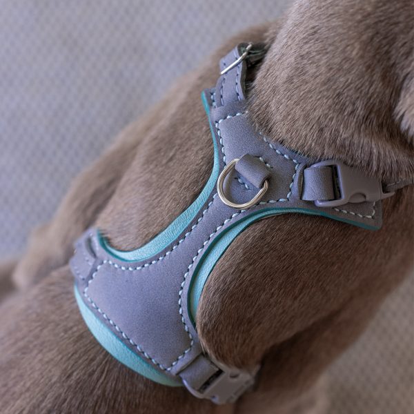 Cat Harness - Ash & Baby Blue