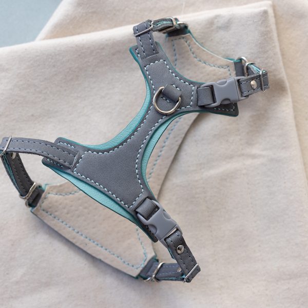Cat Harness - Ash & Baby Blue