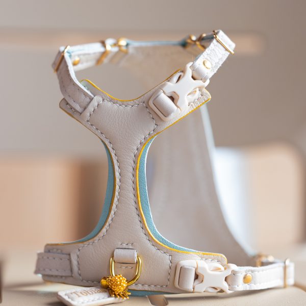 Cat Harness - Cream & Baby Blue