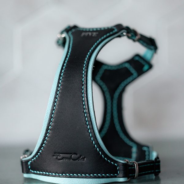 Cat Harness - Premium black & Baby Blue