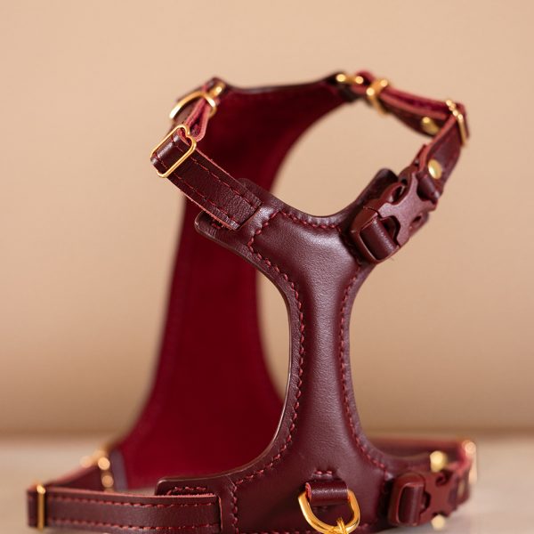 Bordeaux cat harness
