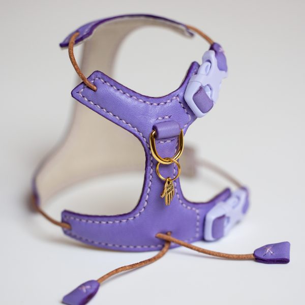 Kitten Harness - Purple