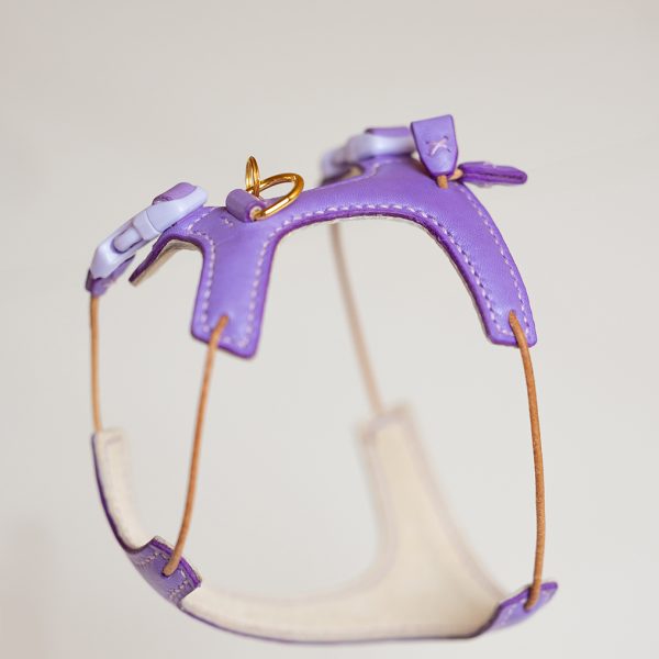 Kitten Harness - Purple