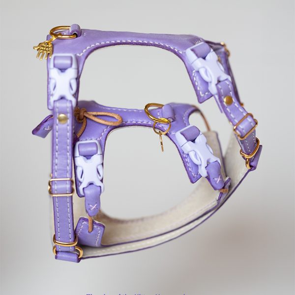 Kitten Harness - Purple