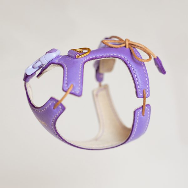 Kitten Harness - Purple