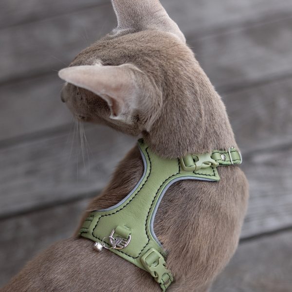 Matcha Green with black thread and reflective contours