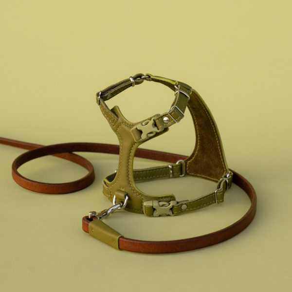 The Cat Harness in Olive