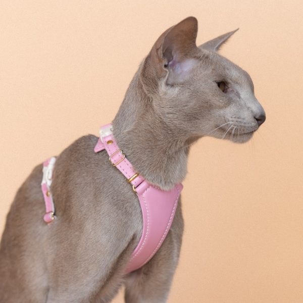 Perfectly Pink Cat Harness