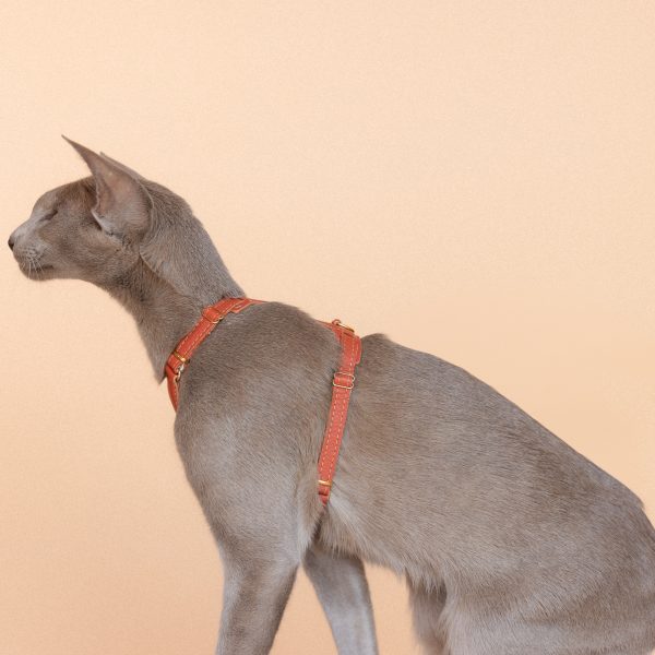 Emmas choice - Rusty Rouge Cat Harness