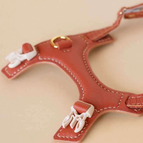 Emmas choice - Rusty Rouge Cat Harness